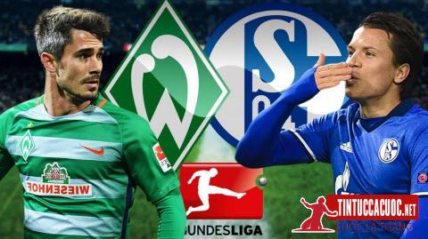 Link sopcast online, link trực tiếp trận Werder Bremen vs Schalke 04, 2h30 ngày 09/03 1